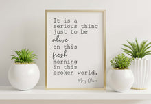 Load image into Gallery viewer, Mary Oliver Quote "It is a serious thing just to be alive on this fresh morning in this broken world"
