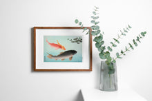 Load image into Gallery viewer, Japanese Wall Art "Common and Golden Carp" (1935) by Ohara Koson