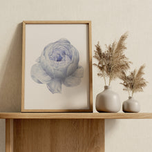 Load image into Gallery viewer, Blue Peony Print – Soft Periwinkle Vintage Botanical Flower Illustration