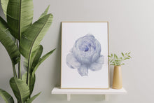 Load image into Gallery viewer, Blue Peony Print – Soft Periwinkle Vintage Botanical Flower Illustration