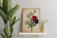 Load image into Gallery viewer, Vintage Anemone Bouquet Print – Antique Botanical Flower Illustration