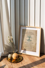 Load image into Gallery viewer, Wedding Reading "One Tree Not Two" Captain Corelli Mandolin, Love is a temporary madness wedding poem wall art - Framed And Unframed Options