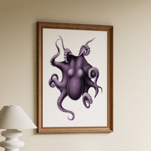 Load image into Gallery viewer, Vintage style scientific illustration of an octopus with curling tentacles in shades of purple on a white background in a wooden frame