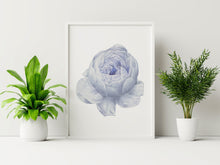 Load image into Gallery viewer, Watercolor Flower print - blue flower painting poster Bedroom decor - watercolor poster UNFRAMED