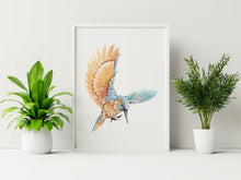 Load image into Gallery viewer, Watercolor Kingfisher print - King Fisher Bird wall art UNFRAMED