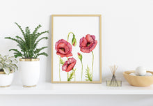 Load image into Gallery viewer, Poppy Flower Illustration print - Watercolor Poppy Poster UNFRAMED