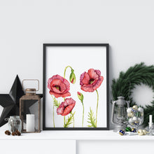 Load image into Gallery viewer, Poppy Flower Illustration print - Watercolor Poppy Poster UNFRAMED