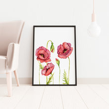 Load image into Gallery viewer, Poppy Flower Illustration print - Watercolor Poppy Poster UNFRAMED