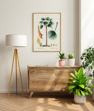 Load image into Gallery viewer, Botanical Print - Fan Palm (Chamaerops Humilis) by Gabriel Sculp