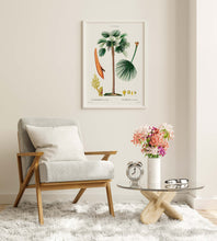 Load image into Gallery viewer, Botanical Print - Fan Palm (Chamaerops Humilis) by Gabriel Sculp - Unframed Print