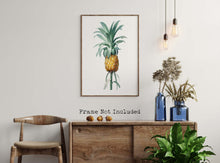 Load image into Gallery viewer, Vintage Pineapple Botanical Illustration Print - Unframed Print - Pierre-Joseph Redouté
