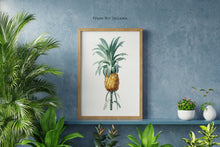 Load image into Gallery viewer, Vintage Pineapple Botanical Illustration Print - Unframed Print - Pierre-Joseph Redouté