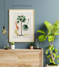 Load image into Gallery viewer, Botanical Print - Fan Palm (Chamaerops Humilis) by Gabriel Sculp - Unframed Print