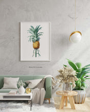 Load image into Gallery viewer, Vintage Pineapple Botanical Illustration Print - Unframed Print - Pierre-Joseph Redouté