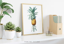 Load image into Gallery viewer, Vintage Pineapple Botanical Illustration Print - Unframed Print - Pierre-Joseph Redouté