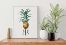 Load image into Gallery viewer, Vintage Pineapple Botanical Illustration Print - Unframed Print - Pierre-Joseph Redouté
