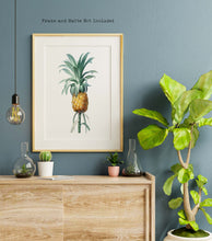 Load image into Gallery viewer, Vintage Pineapple Botanical Illustration Print - Unframed Print - Pierre-Joseph Redouté