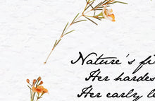 Load image into Gallery viewer, Close Up of background texture