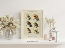Load image into Gallery viewer, Fly Fishing Print Salmon Flies - Illustrated Book Page