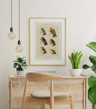 Load image into Gallery viewer, Fly Fishing Print Salmon Flies - Illustrated Book Page