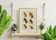 Load image into Gallery viewer, Fly Fishing Print Salmon Flies - Illustrated Book Page