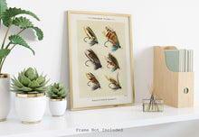 Load image into Gallery viewer, Fly Fishing Print Salmon Flies - Illustrated Book Page