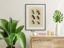 Load image into Gallery viewer, Fly Fishing Print Salmon Flies - Illustrated Book Page