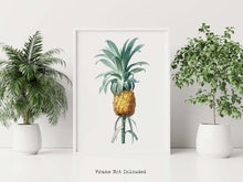 Load image into Gallery viewer, Vintage Pineapple Botanical Illustration Print - Unframed Print - Pierre-Joseph Redouté