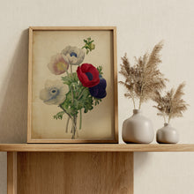 Load image into Gallery viewer, Vintage Anemone Bouquet Print – Antique Botanical Flower Illustration

