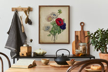 Load image into Gallery viewer, Vintage Anemone Bouquet Print – Antique Botanical Flower Illustration
