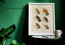 Load image into Gallery viewer, Vintage Salmon Flies Print – Antique Fly Fishing Illustration by C.F. Orvis
