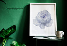 Load image into Gallery viewer, Blue Peony Print – Soft Periwinkle Vintage Botanical Flower Illustration
