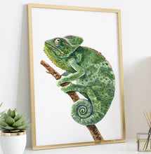 Load image into Gallery viewer, Watercolor Chameleon Poster Print - Lizard painting, Animal Wall Art - Reptile wall art - Physical Print Without Frame
