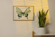 Load image into Gallery viewer, Green Butterfly Wall Art – Nature-Inspired Watercolor Print
