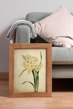 Load image into Gallery viewer, Vintage Daffodil Botanical Print - Antique Floral Illustration, Spring Flower Wall Art, Nature-Inspired Home Decor, Framed or Unframed
