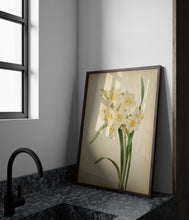 Load image into Gallery viewer, Vintage Daffodil Botanical Print - Antique Floral Illustration, Spring Flower Wall Art, Nature-Inspired Home Decor, Framed or Unframed
