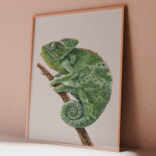 Load and play video in Gallery viewer, Reptile Decor Chameleon Wall Art: Vibrant Reptile Room Artwork
