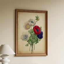Load image into Gallery viewer, Antique style botanical illustration of white, blush pink, red and purple anemones with green leaves on a vintage paper style background
