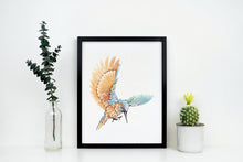 Load image into Gallery viewer, Watercolor Kingfisher print - King Fisher Bird wall art UNFRAMED
