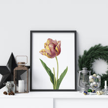 Load image into Gallery viewer, Tulip Flower print - Vintage watercolor Tulip Poster Bedroom decor UNFRAMED
