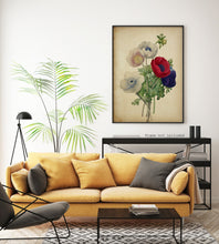 Load image into Gallery viewer, Poppy Flower Botanical Illustration print - Vintage Poppy Poster UNFRAMED
