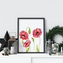 Load image into Gallery viewer, Poppy Flower Illustration print - Watercolor Poppy Poster UNFRAMED
