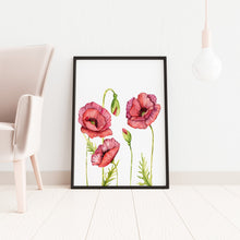 Load image into Gallery viewer, Poppy Flower Illustration print - Watercolor Poppy Poster UNFRAMED
