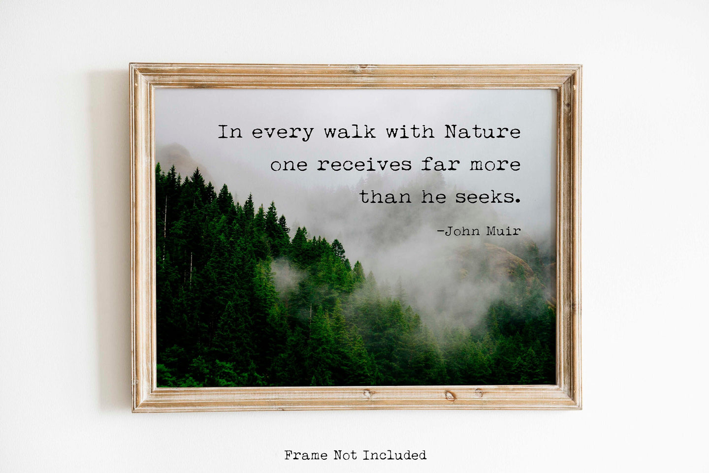 John Muir Quote - In every walk with Nature one receives far more than he seeks - Unframed print