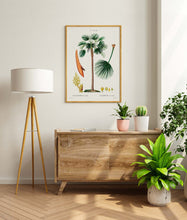 Load image into Gallery viewer, Botanical Print - Fan Palm (Chamaerops Humilis) by Gabriel Sculp
