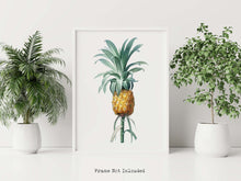 Load image into Gallery viewer, Vintage Pineapple Botanical Illustration Print - Unframed Print - Pierre-Joseph Redouté
