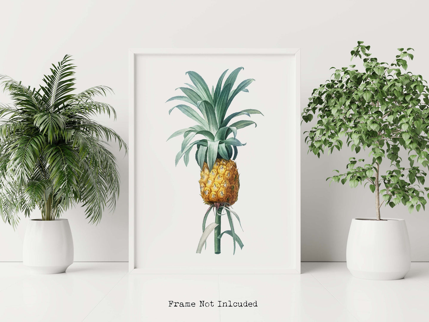 Vintage Pineapple Botanical Illustration Print - Unframed Print - Pierre-Joseph Redouté