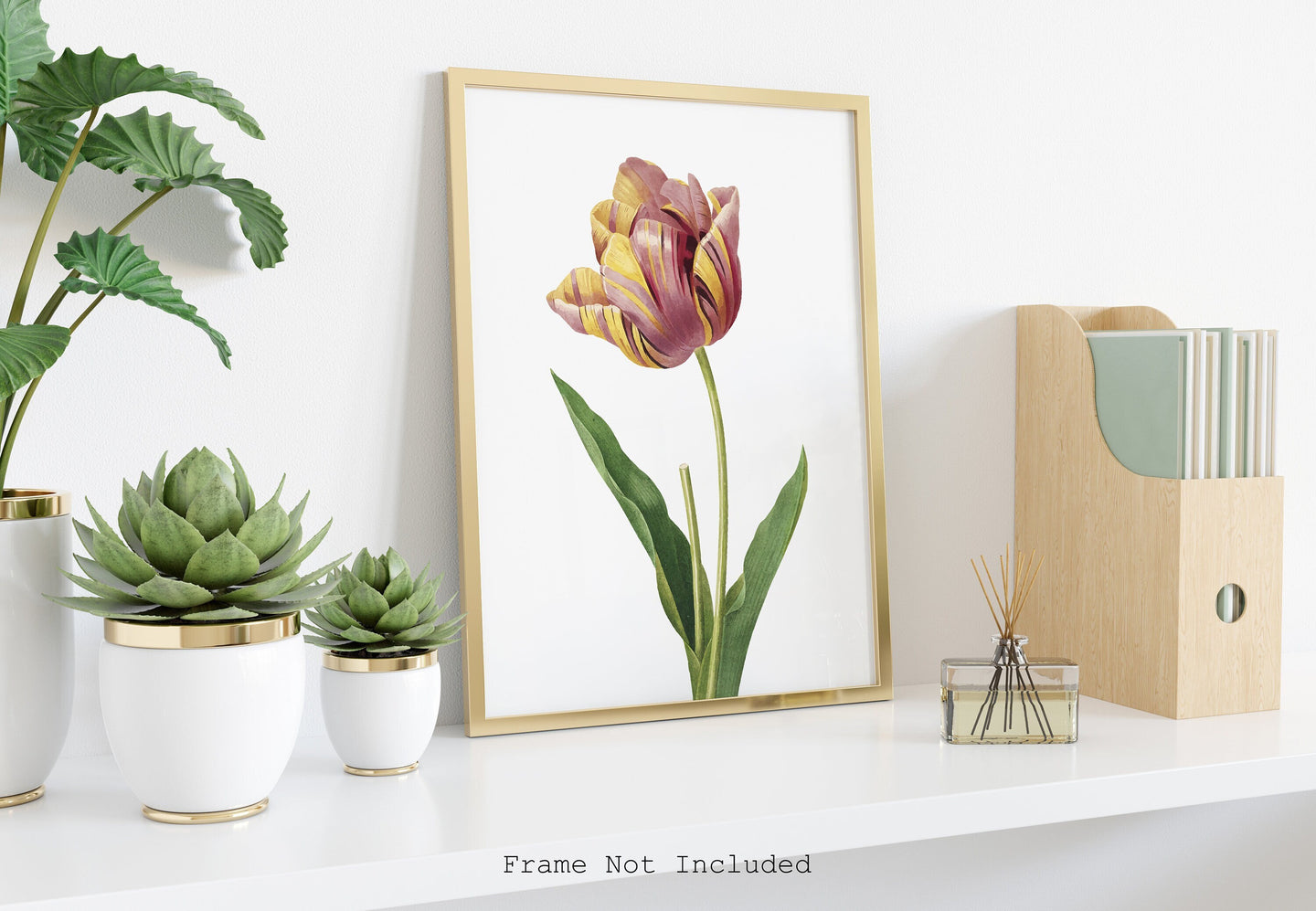 Tulip Flower print - Vintage watercolor Tulip Poster Bedroom decor UNFRAMED
